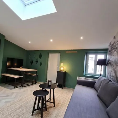 La Canopee - & Parking Apartment Riom